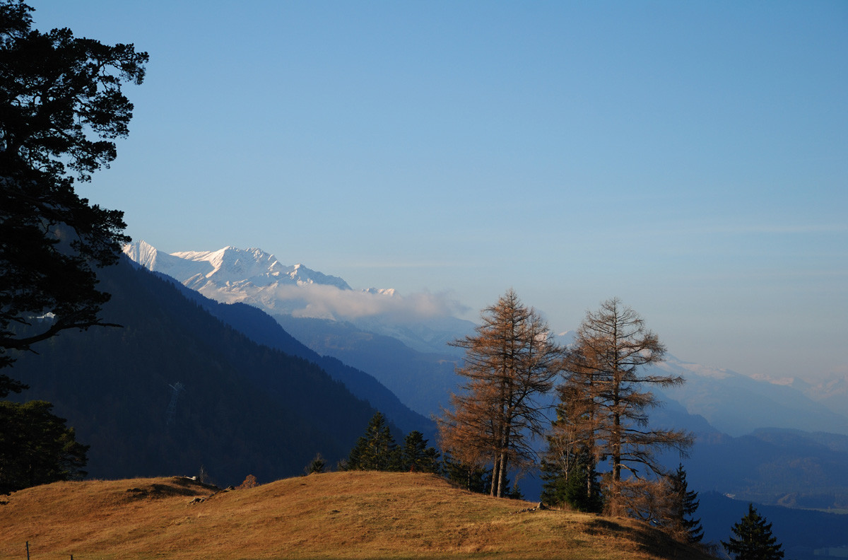 Alpage de Mittenberg (1100m), au dessus de Chur