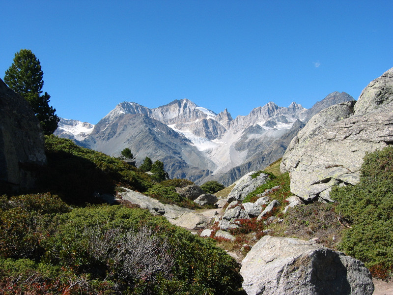 Barrhorn vers Grat