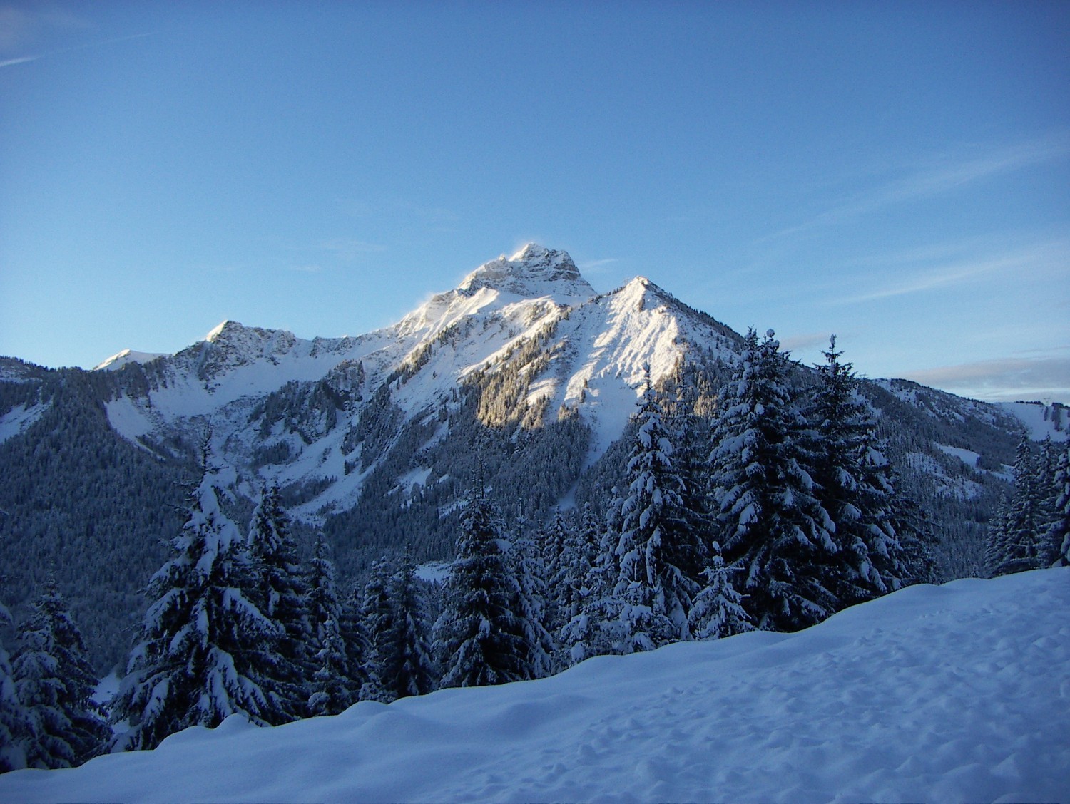 le Mont de grange