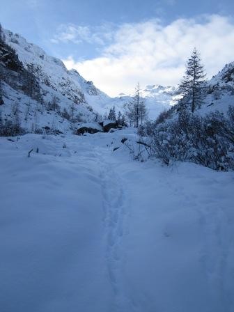 v berard sans traces