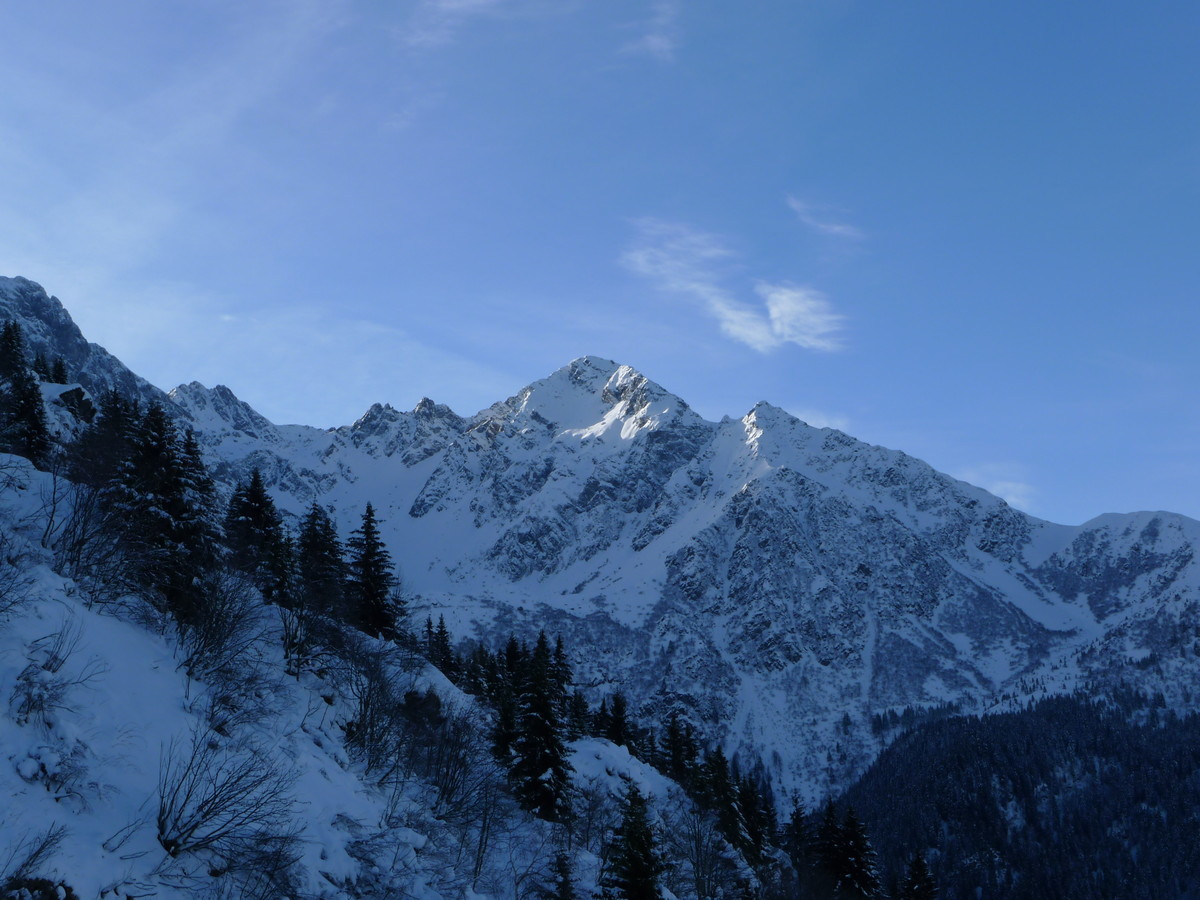 Grand Replomb