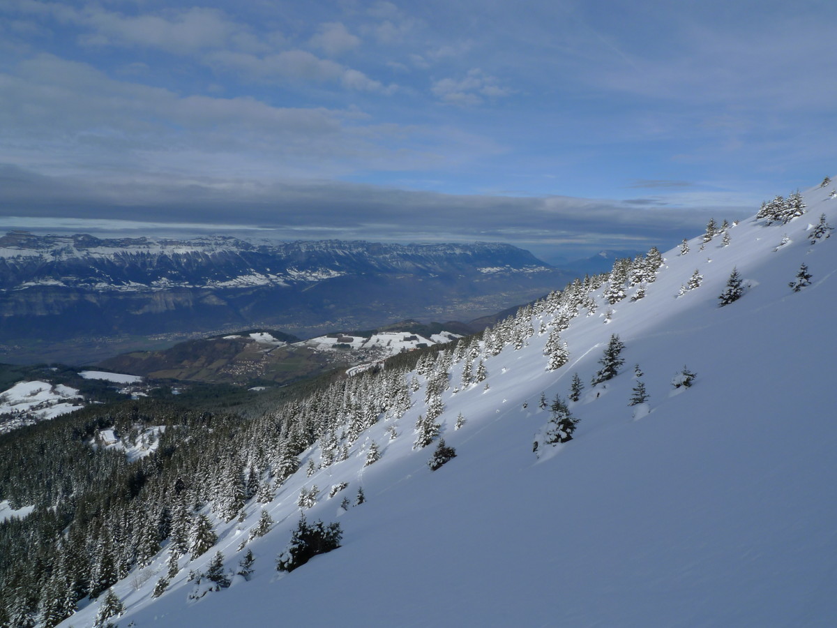 dans le bas de la face W du Jas des lièvres