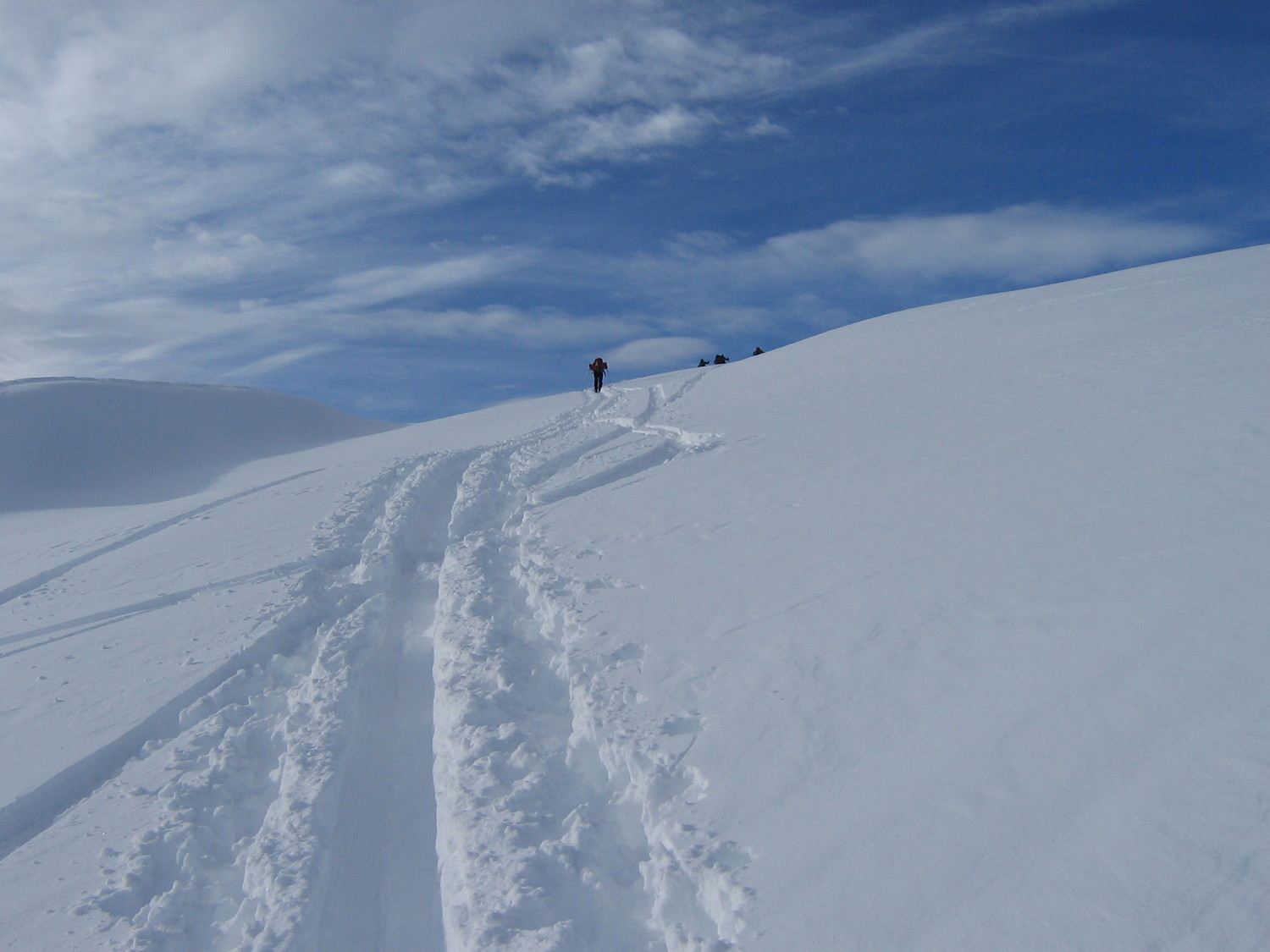 neve fresca