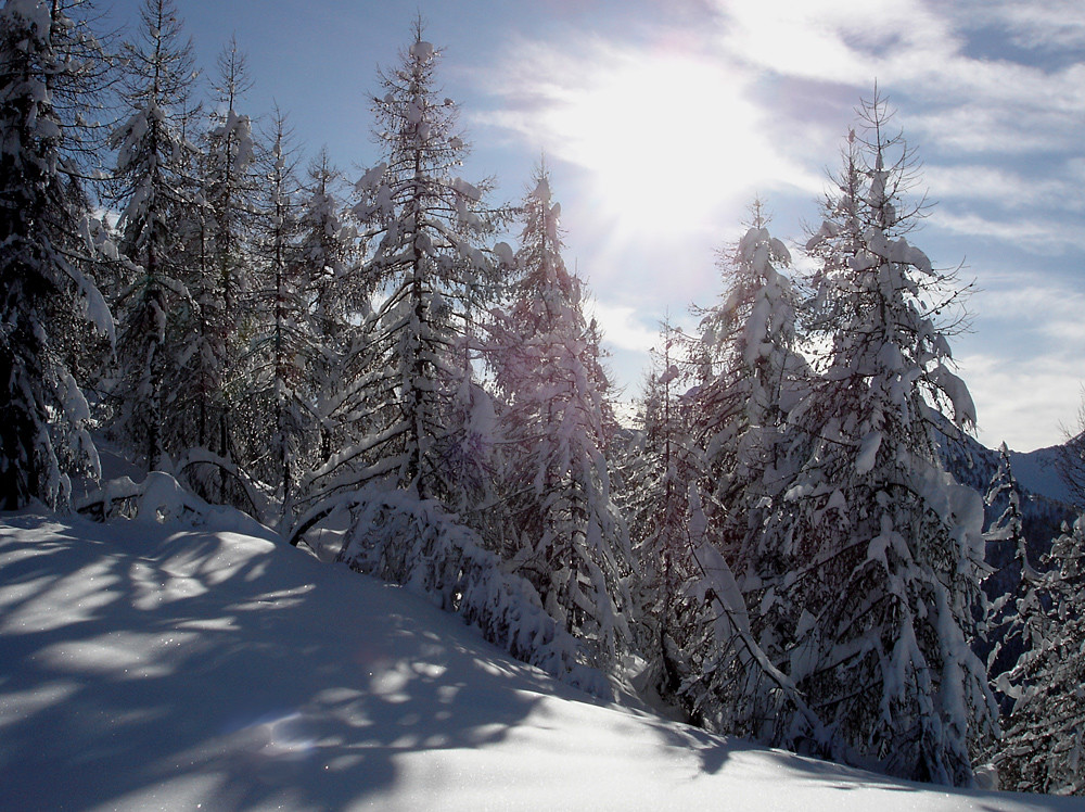 controluce al sito del sondaggio (50 cm di neve fresca!).