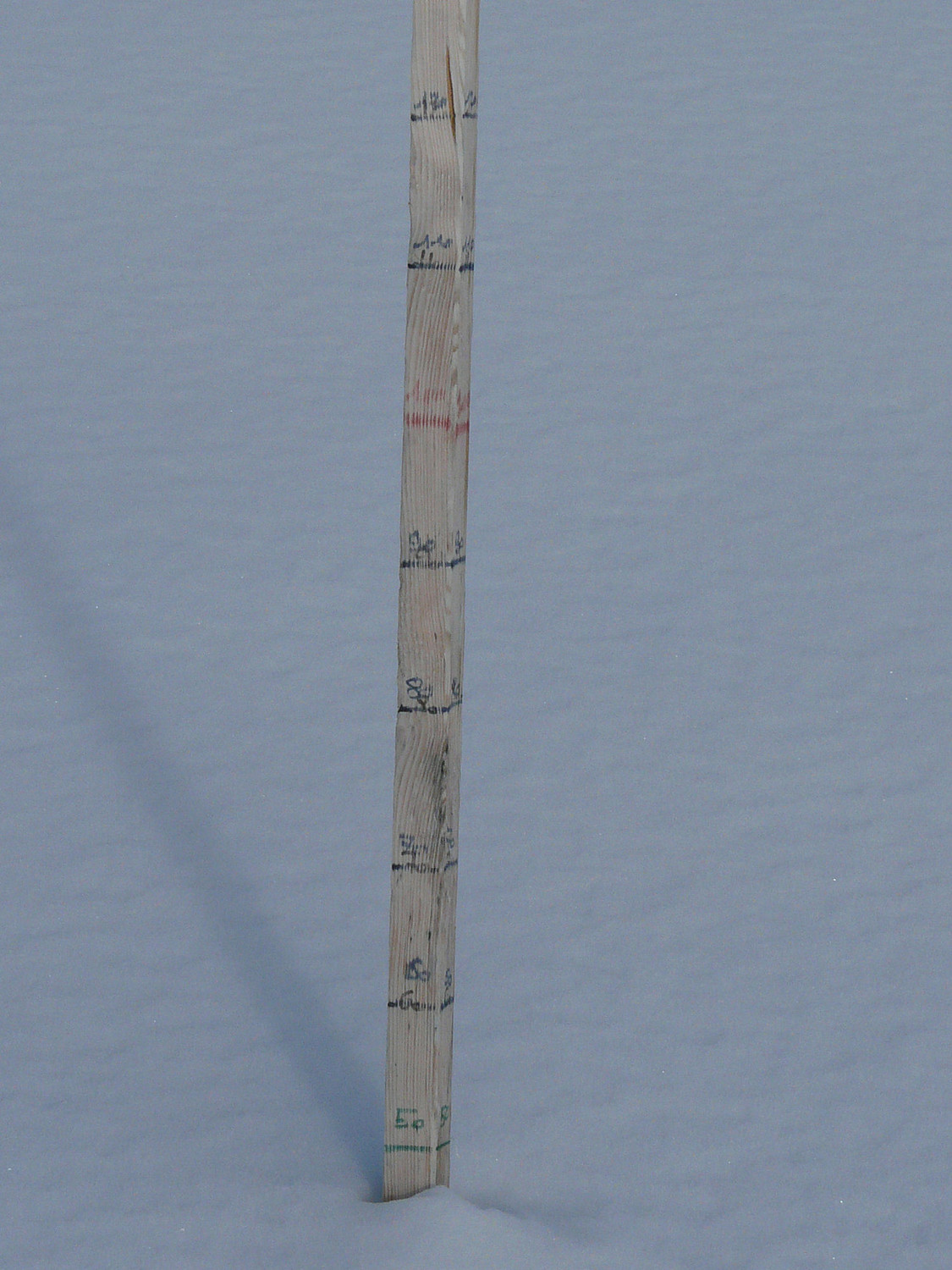un petit 50 cm de poudreuse