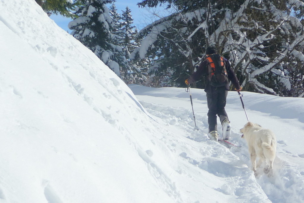 Notre copain du jour, le chien qui nous a suivi tout du long