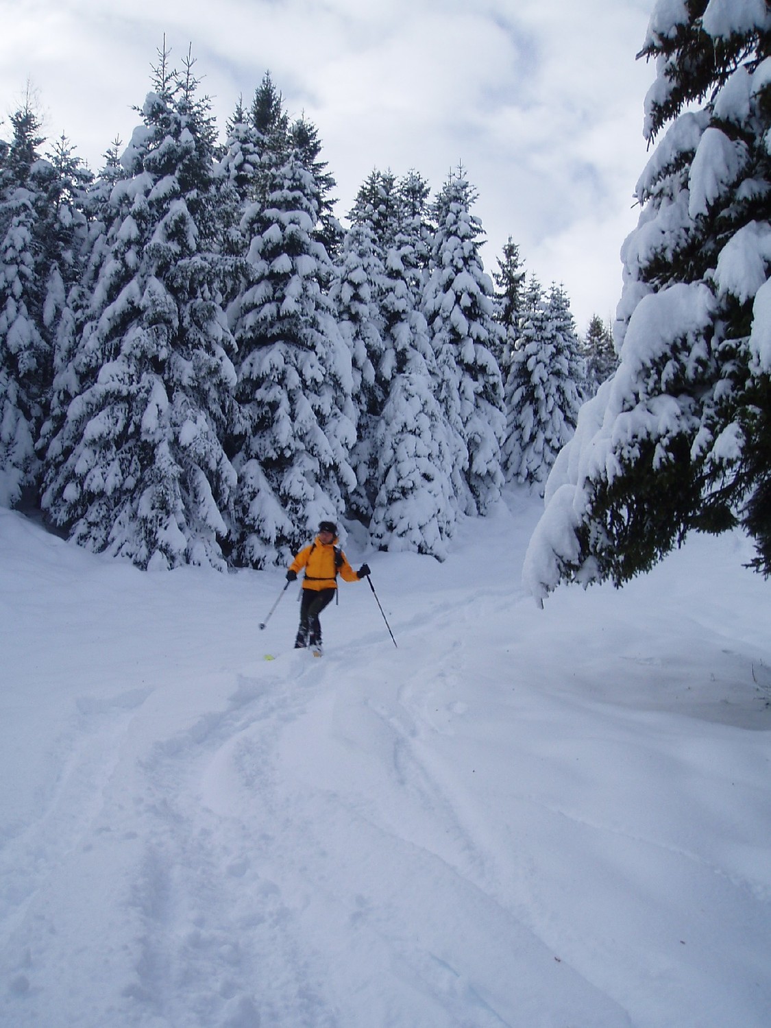 In discesa, neve soffice