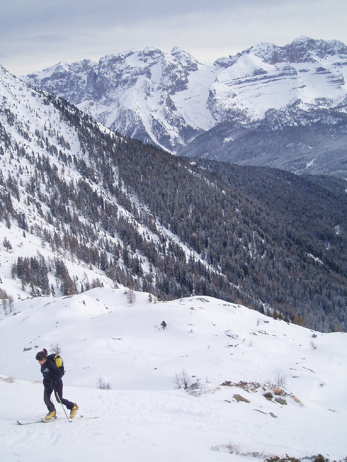 Fuori dal bosco con la Val Gelada sullo sfondo