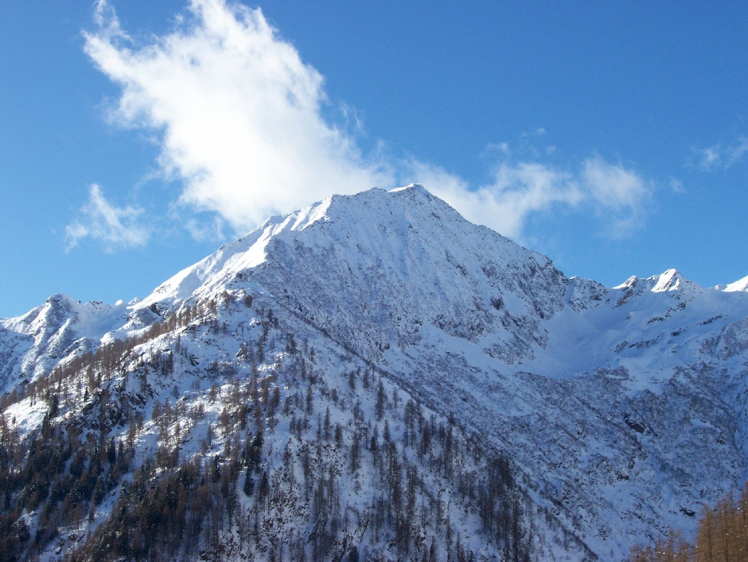 Cima Lampone