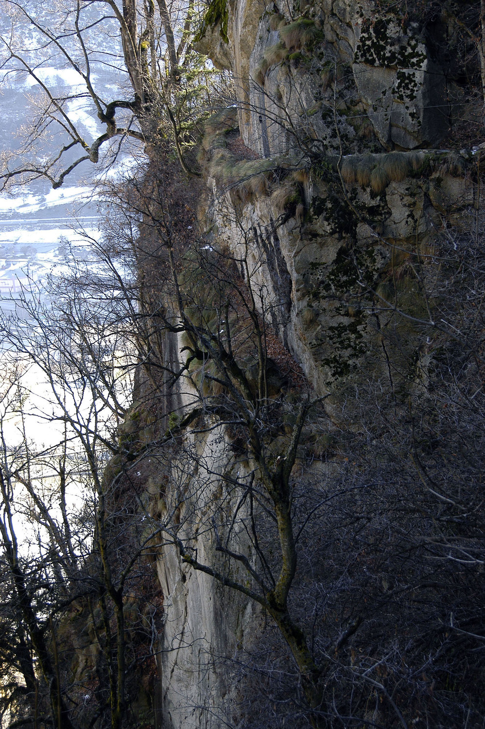 Bisse rive droite