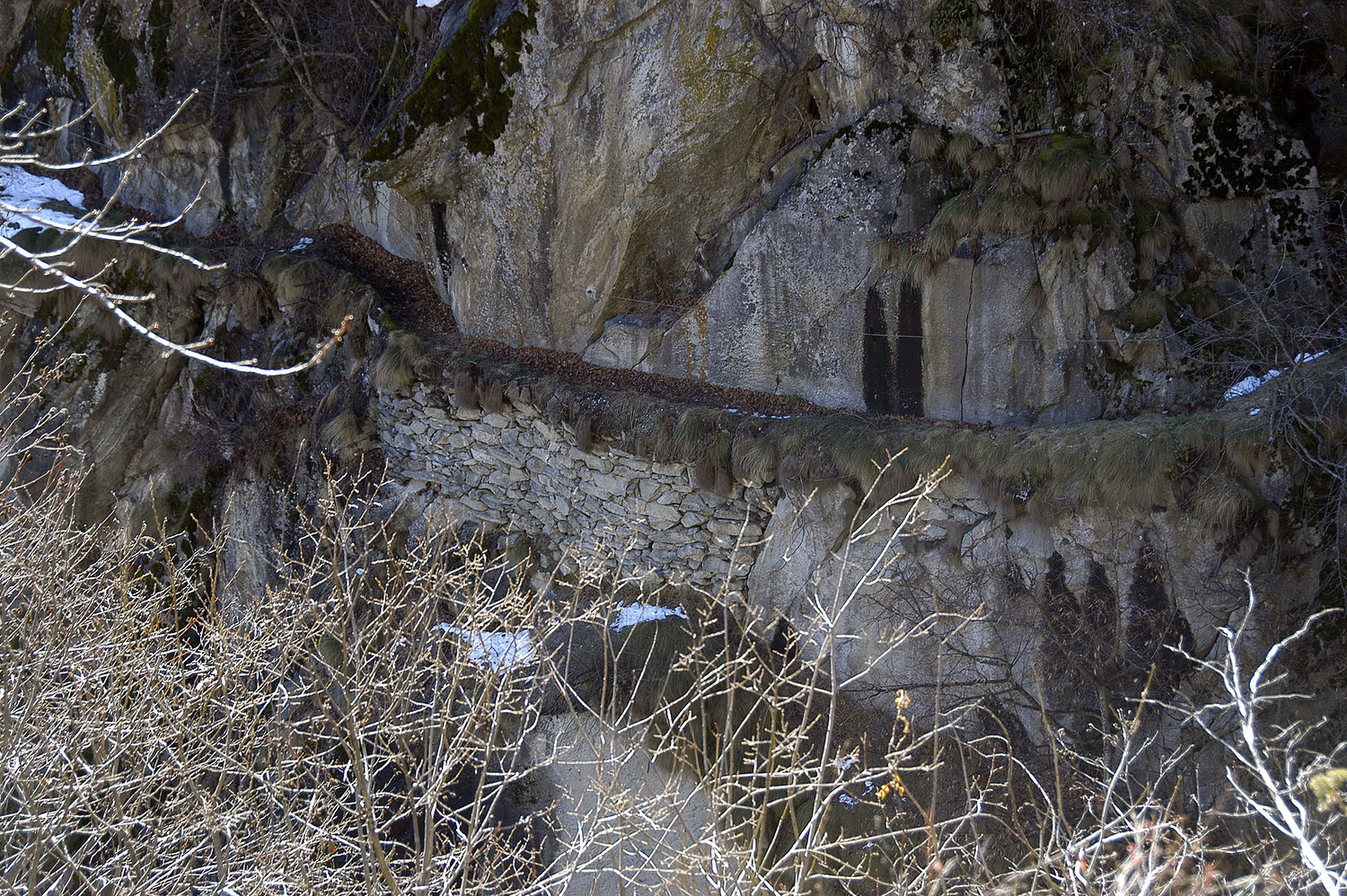 Bisse Liniwasser