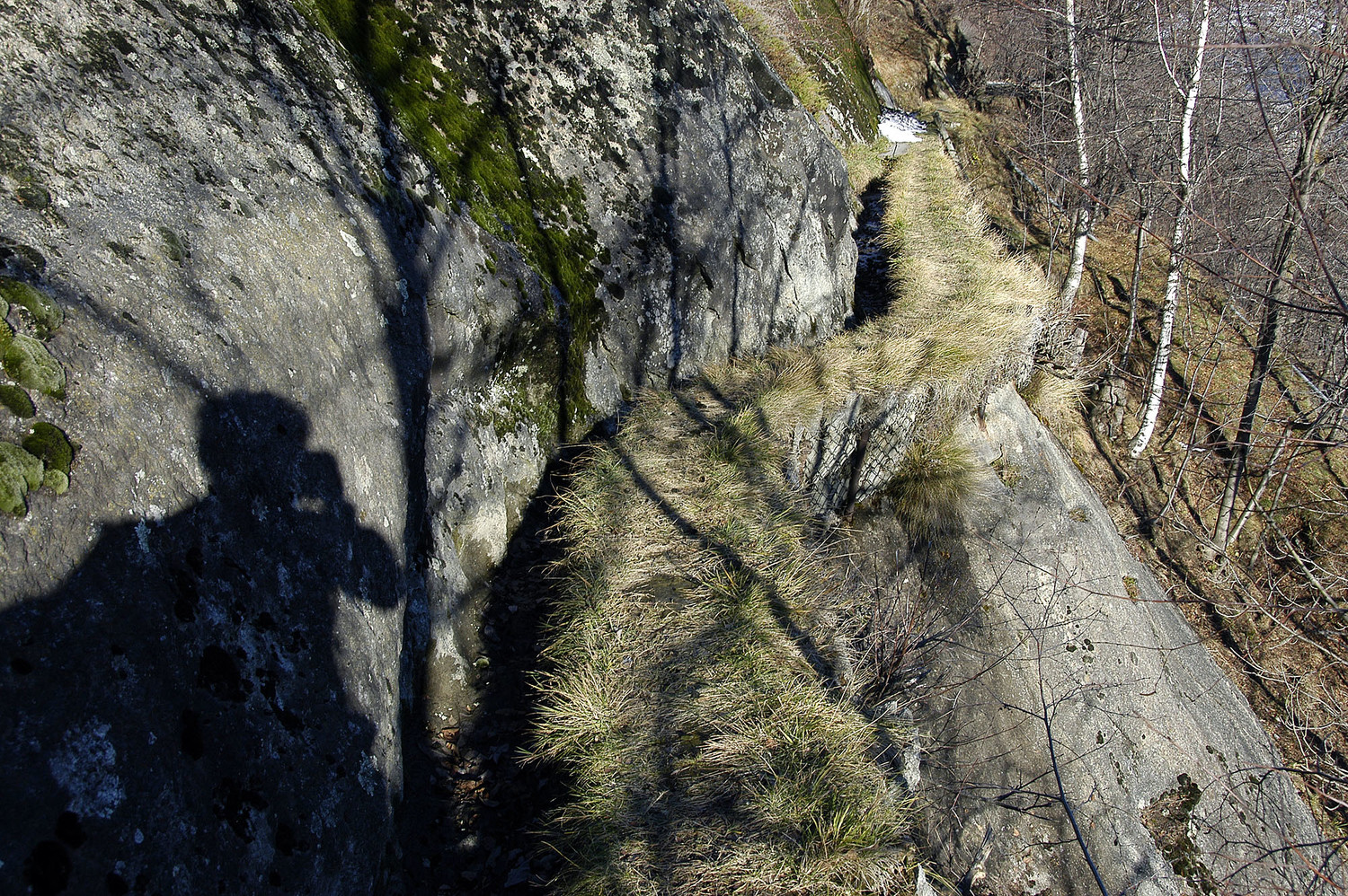 Bisse de Drieschtneri