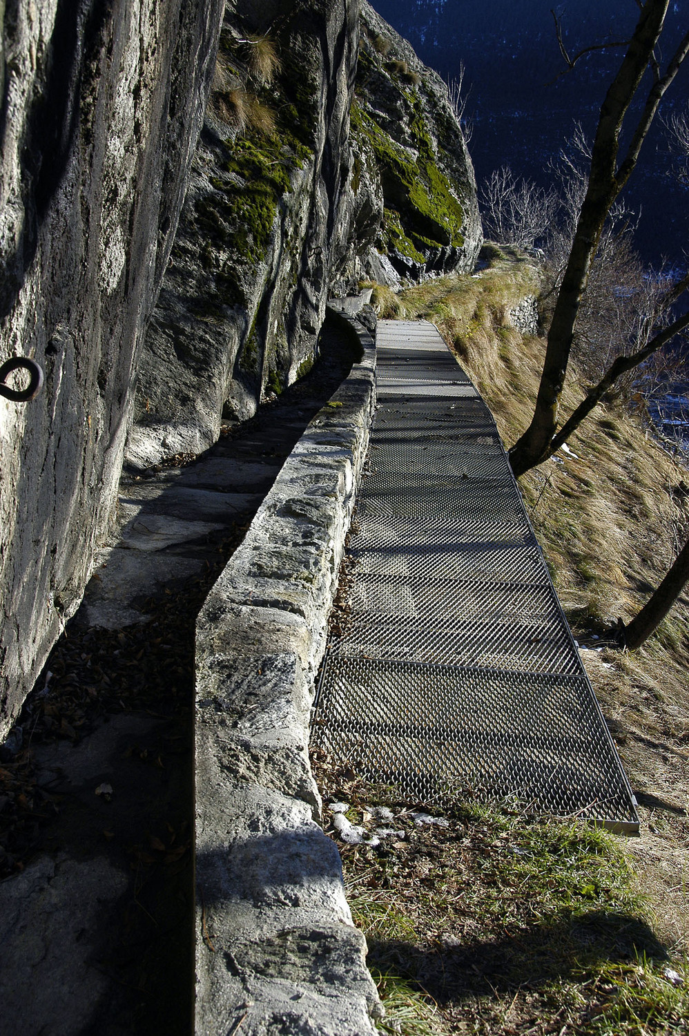 Bisse de Brigue