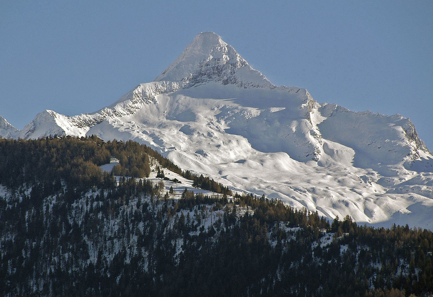Bortelhorn