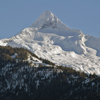 Bortelhorn