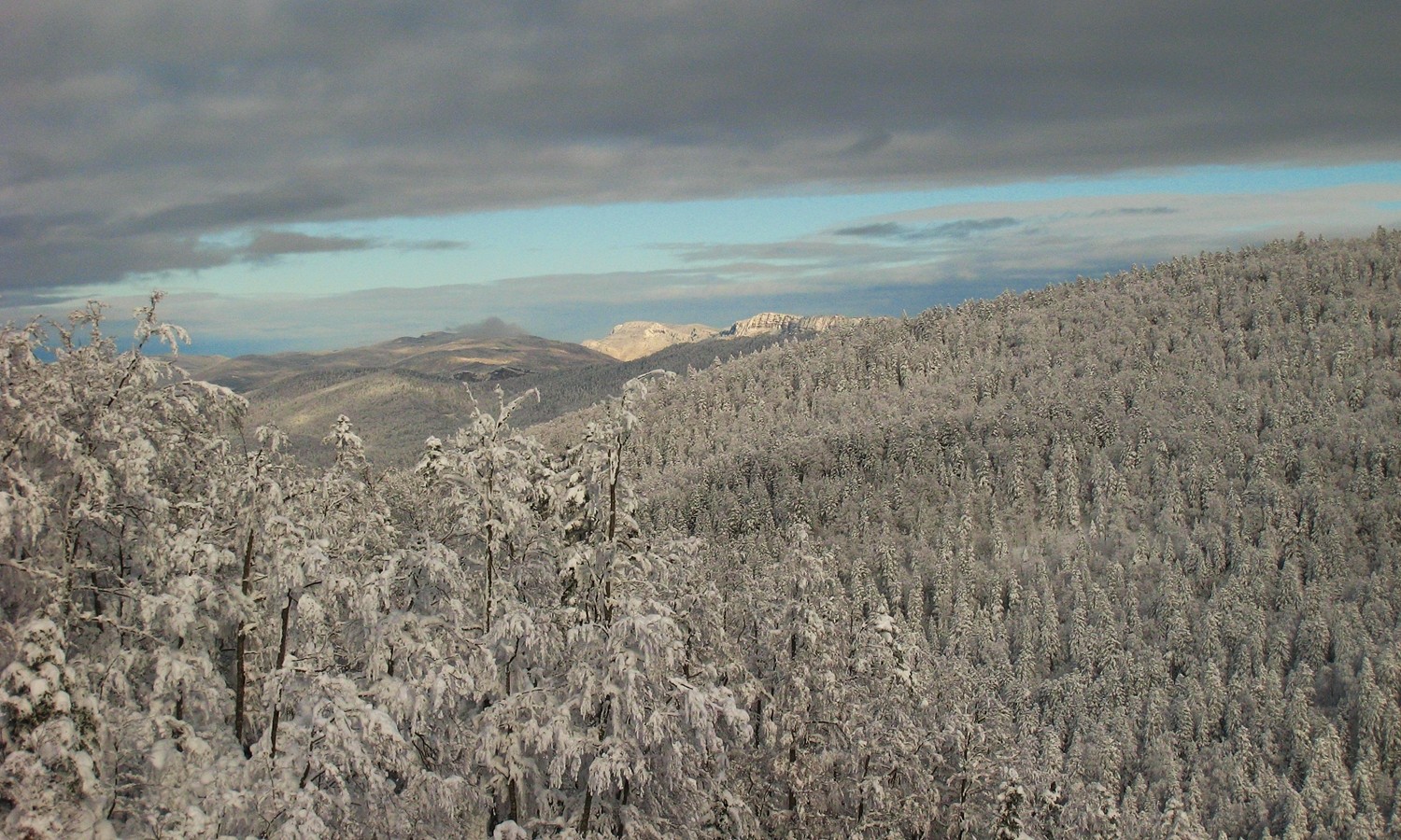 Vercors sous la neige
