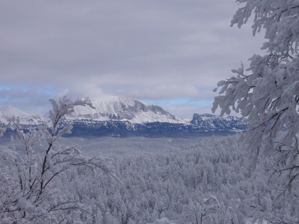 grand veymont et mont aiguille
