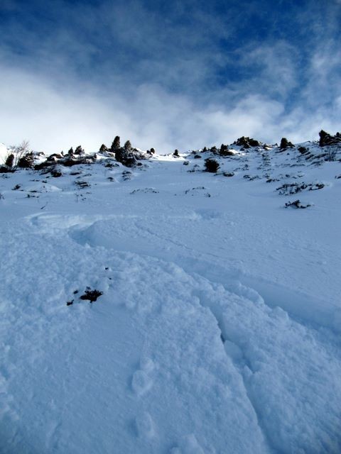 Quelques zones sécurisées de poudre au dessus de la cabane du Grand Colon
