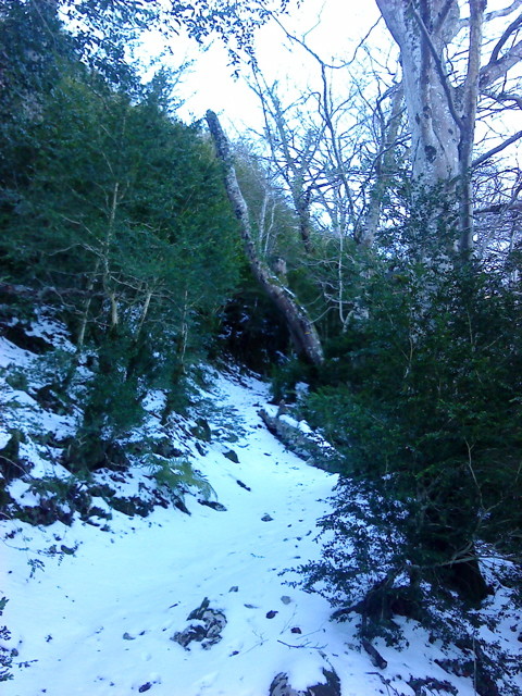 La partie en neige