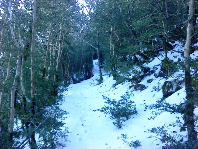 La partie en neige