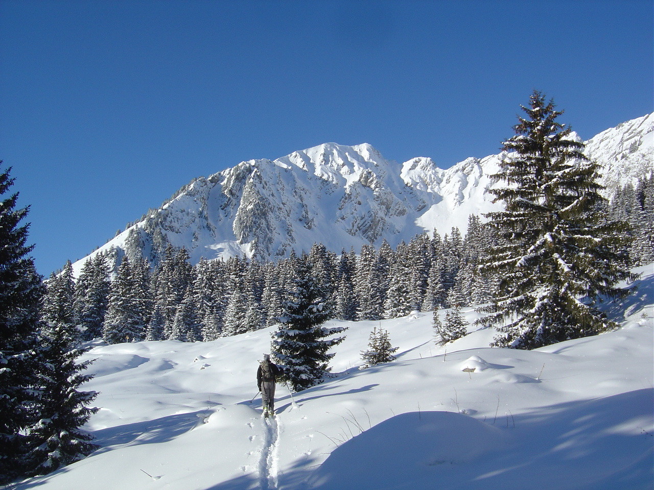 Devant Alex, la face NE du Mont d'Or