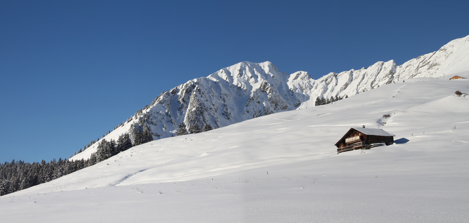 Mont d'Or depuis les Mosses