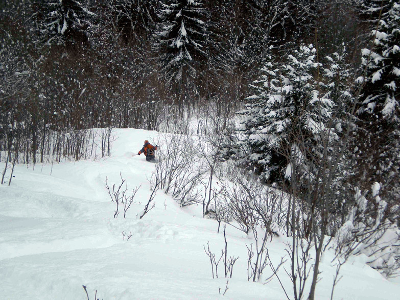 bonne peuf dans la foret