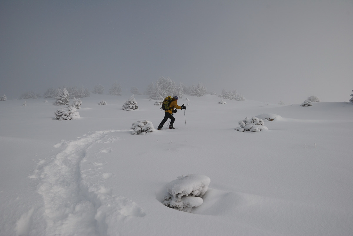 Plateau sommital de Sous-Dine vers 1800m