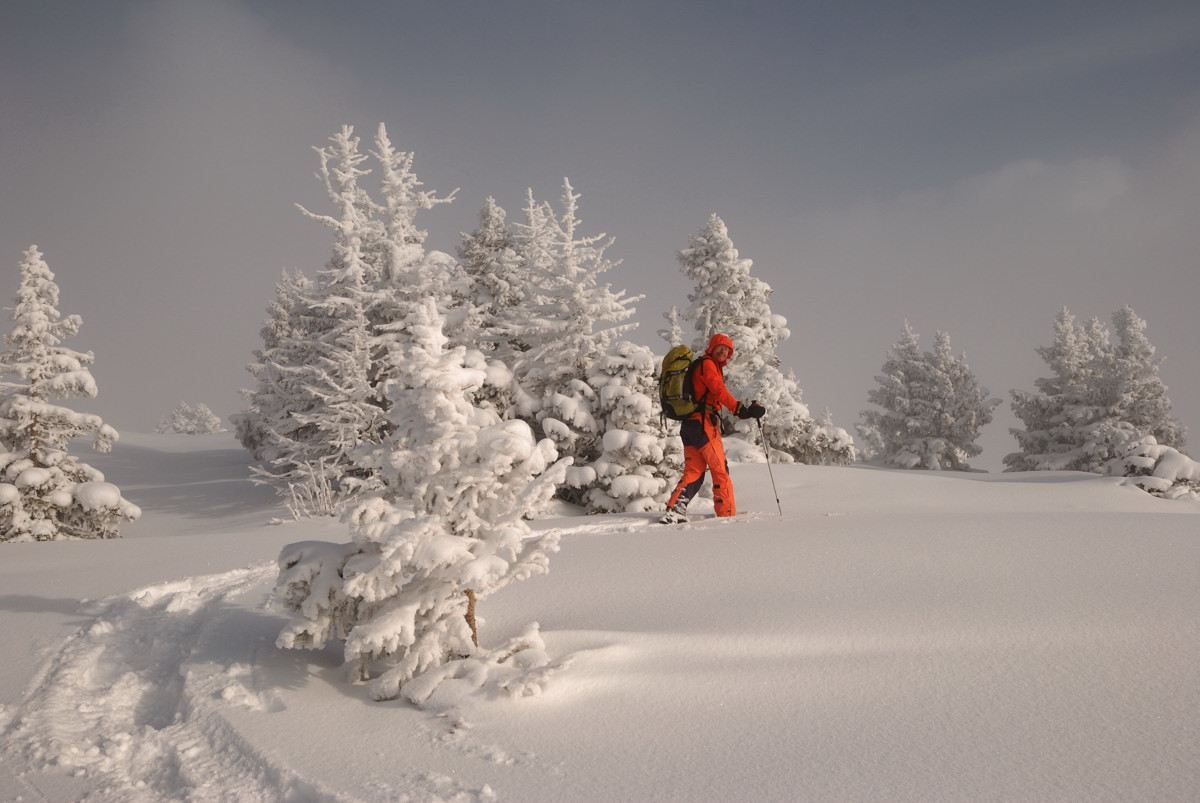 Plateau sommital de Sous-Dine vers 1800m
