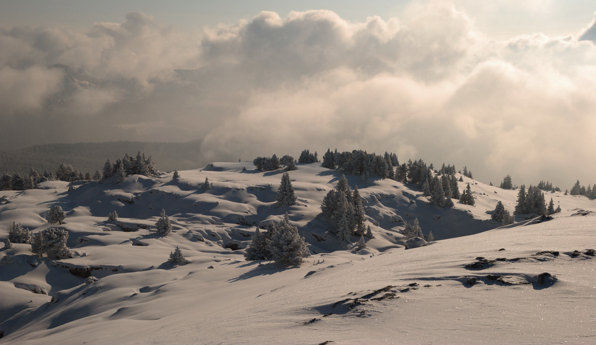 Plateau sommital de Sous-Dine vers 1950m