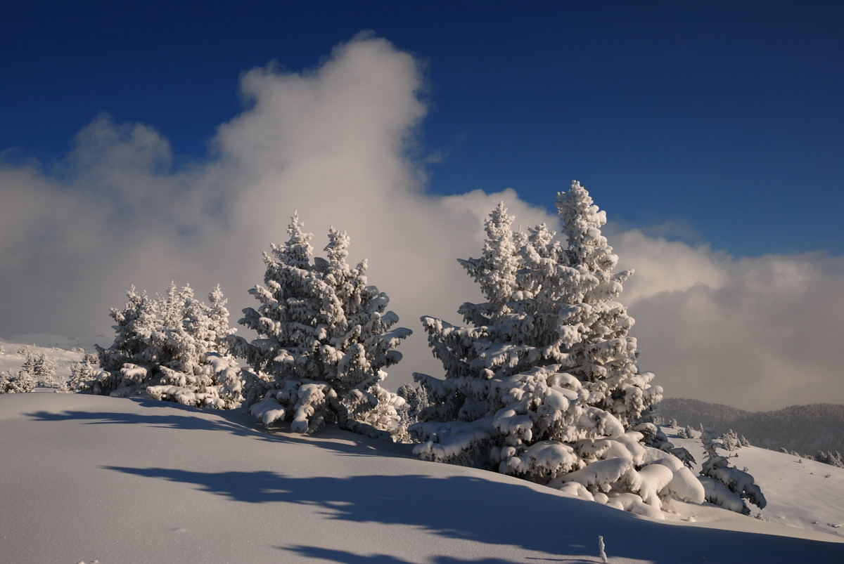 Plateau sommital de Sous-Dine vers 1950m
