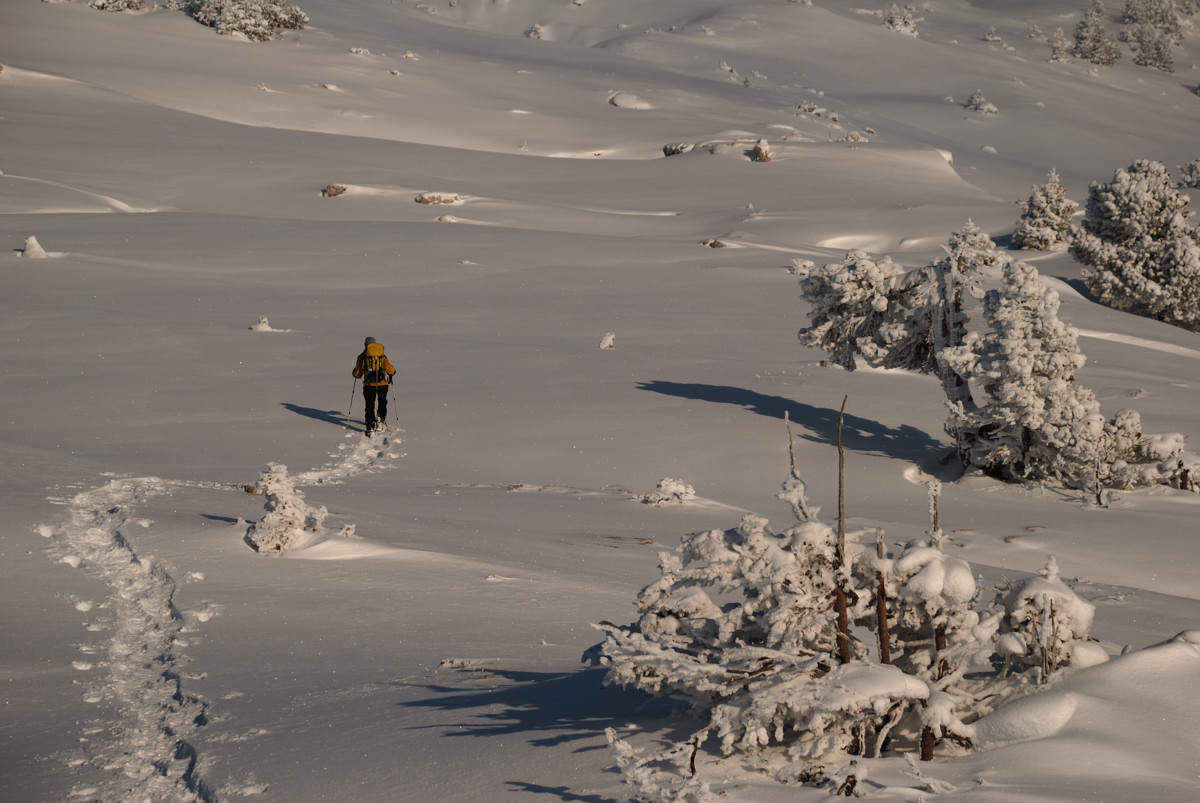 Plateau sommital de Sous-Dine vers 1950m