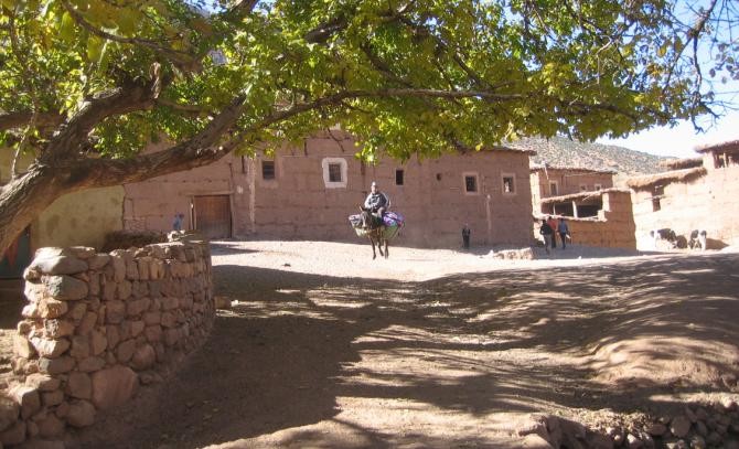 Youssef sur sa mule amène des provisions
