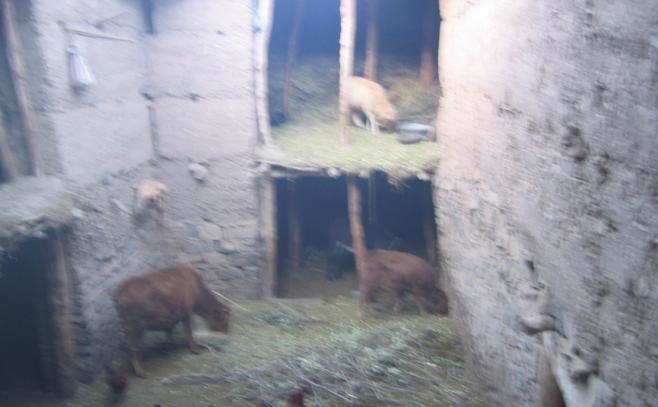 Ikkis - maison des nomades