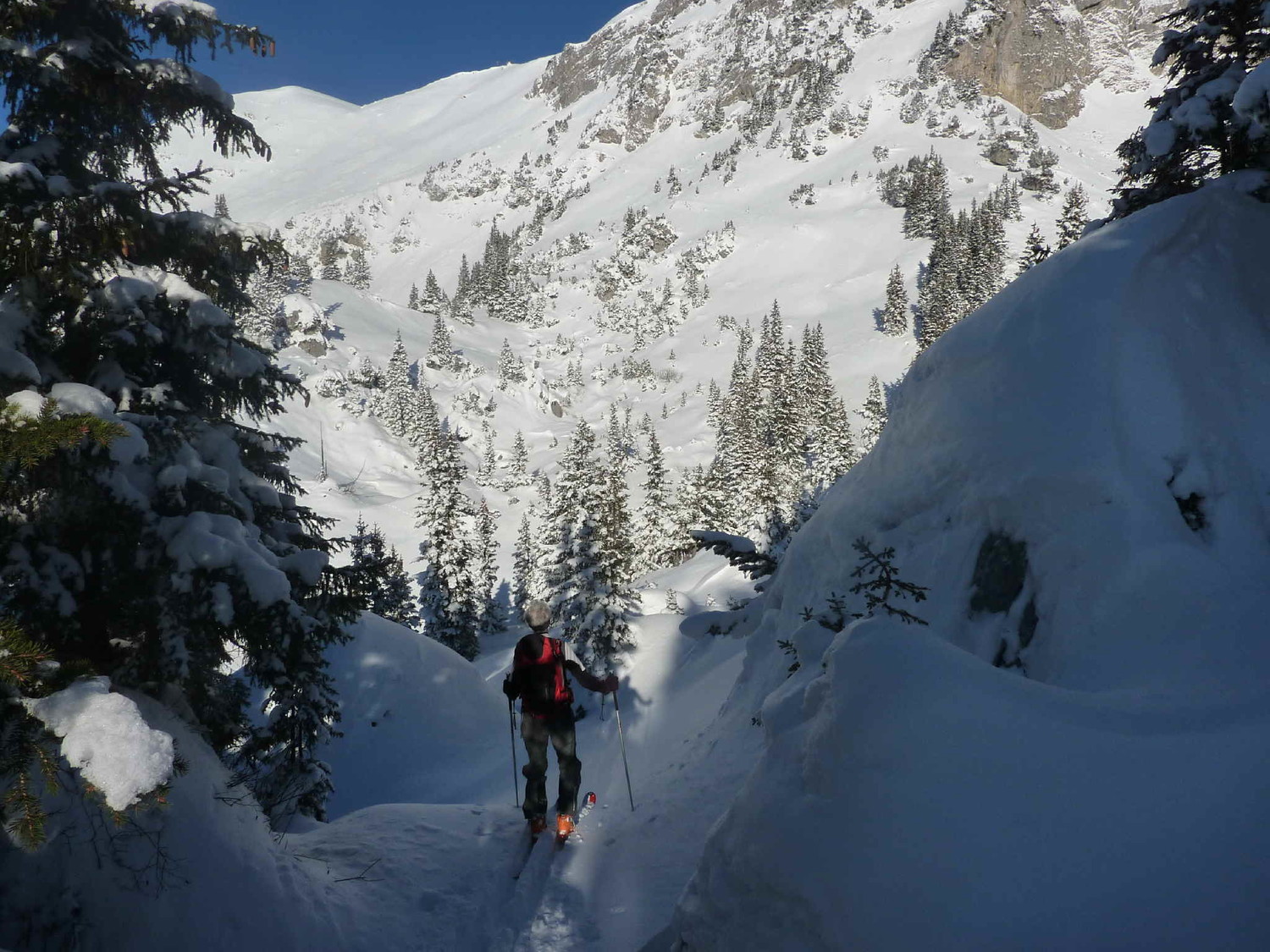 Salendo all'Hagelstock,nel bosco rado prima del tratto impegnativo