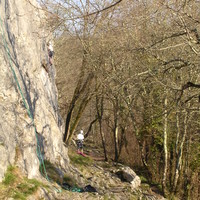 La falaise