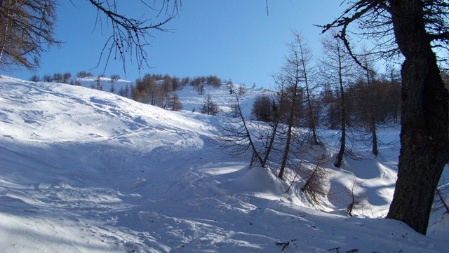 appena fuori dal bosco