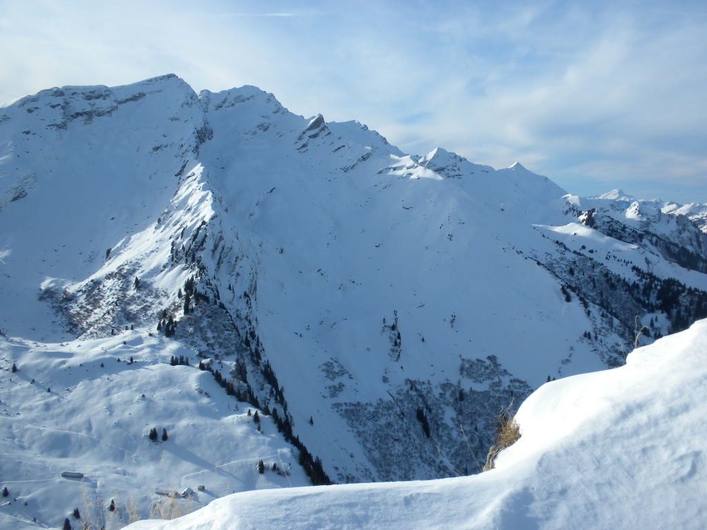 Le Tarent