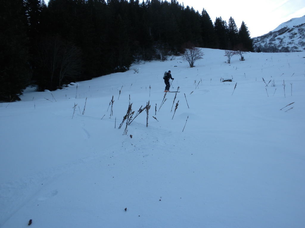 La slalom gentiane, c'est intéressant !