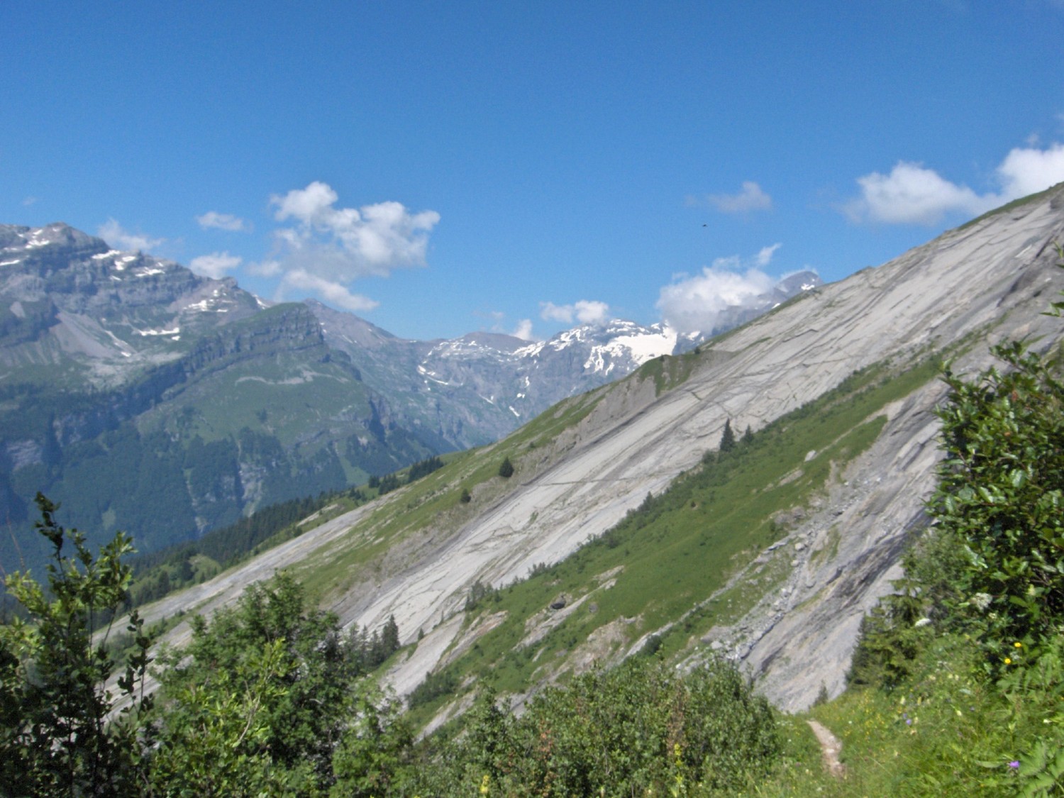 tour des fiz