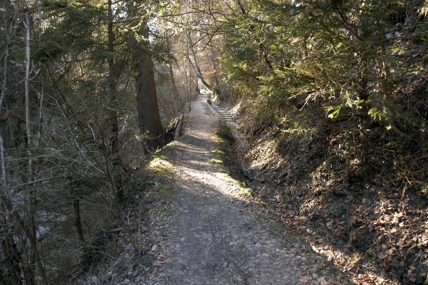Bisse de Lentine