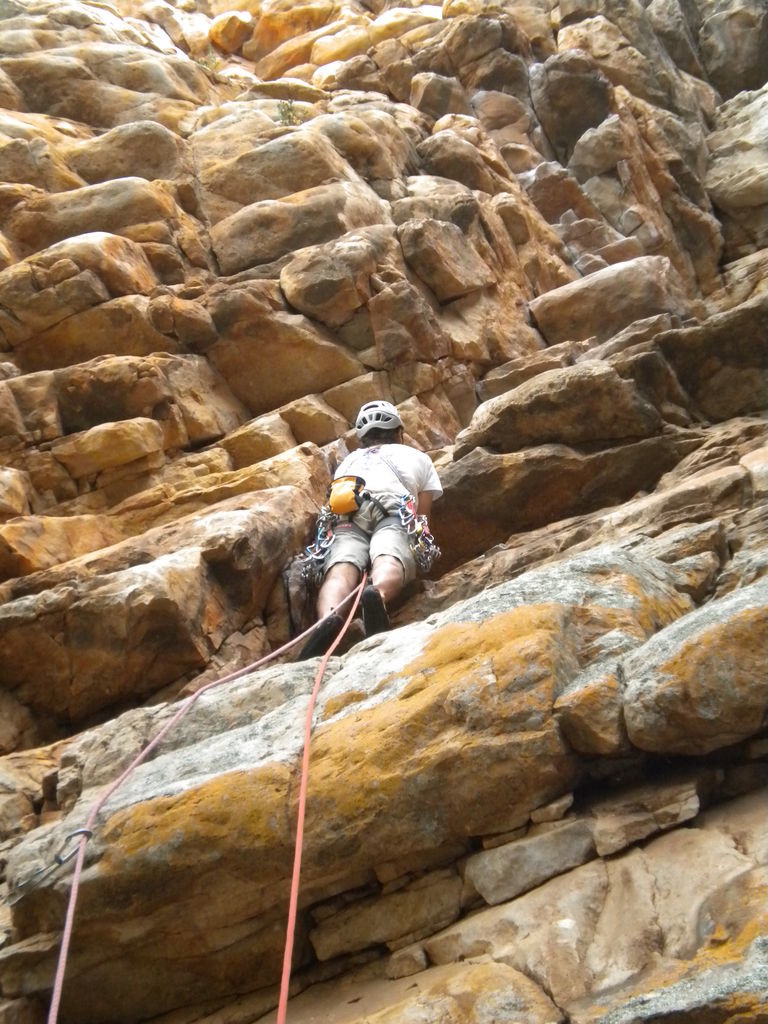Secteur "The Pharos" - Oceanoïd (17)