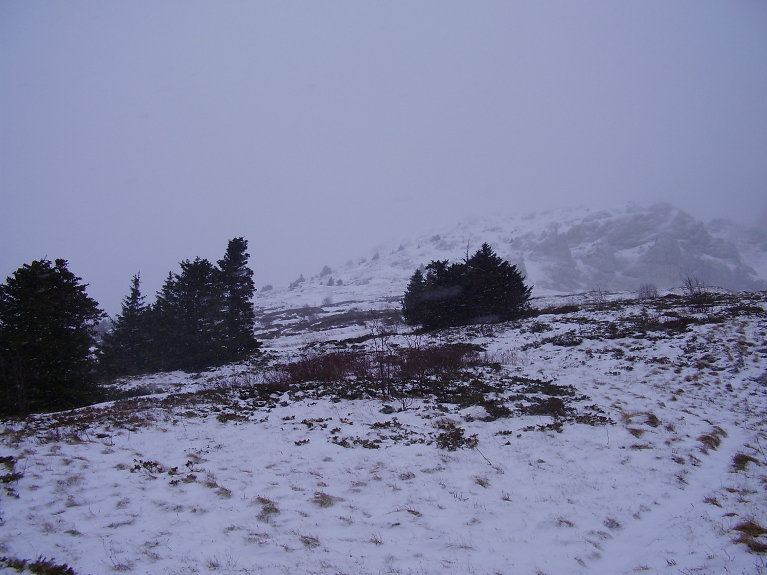 les conditions du jour au rocher de l'ours