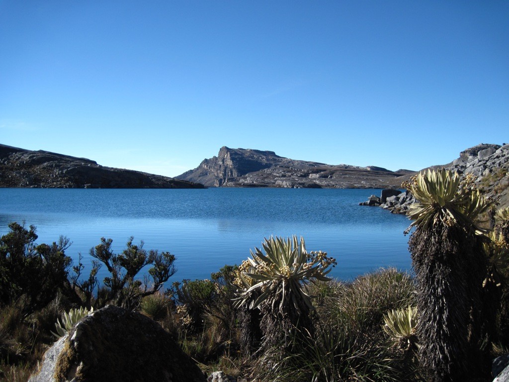 Laguna de la Plaza