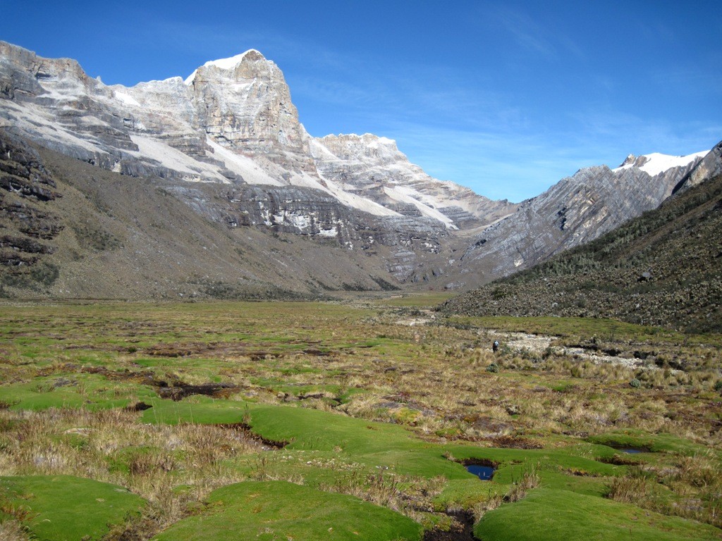 La Valle de los Cojines: tourbière à coussins à 4200 m