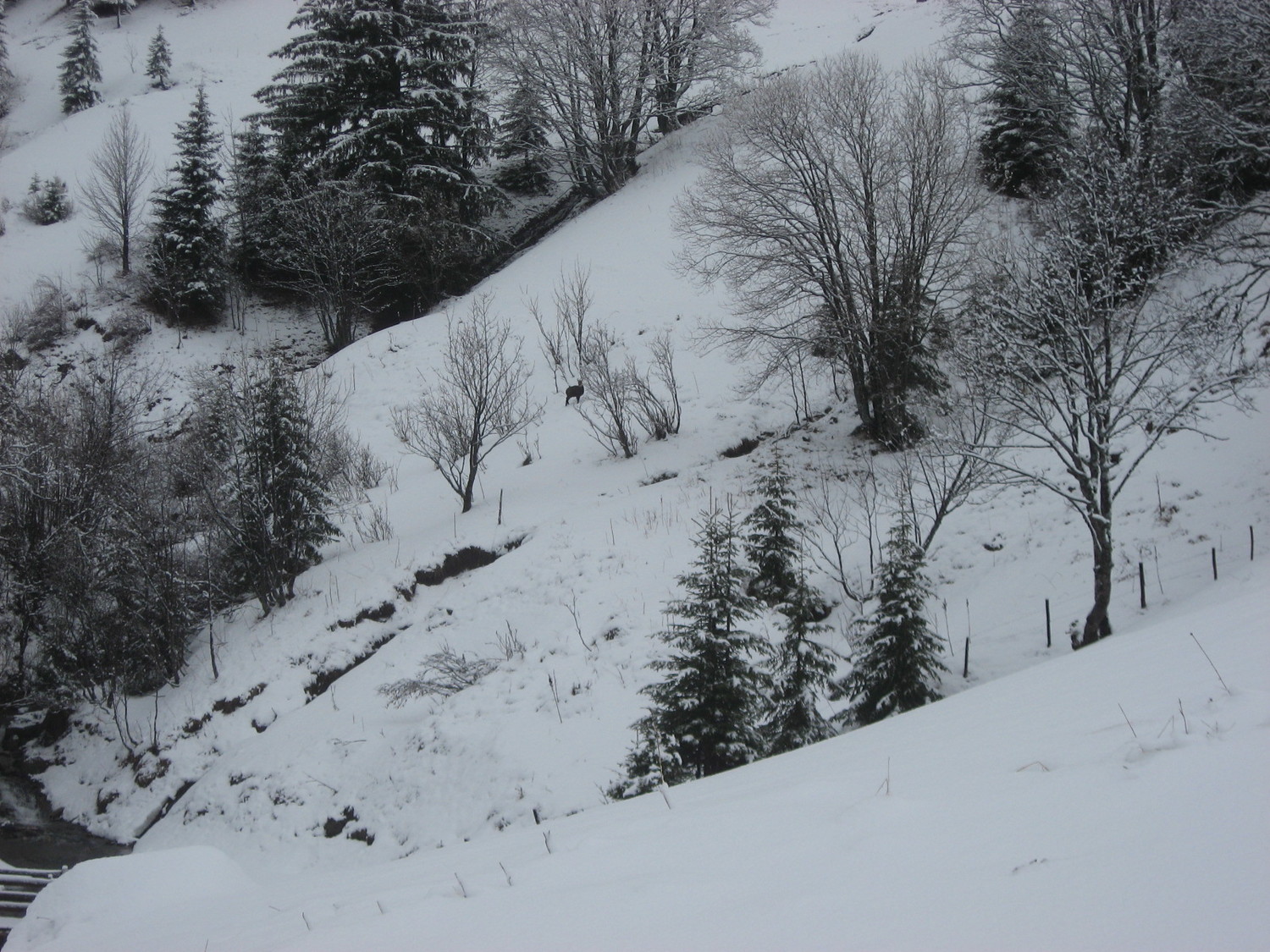 au dessus du Ruisseau. on dérange?