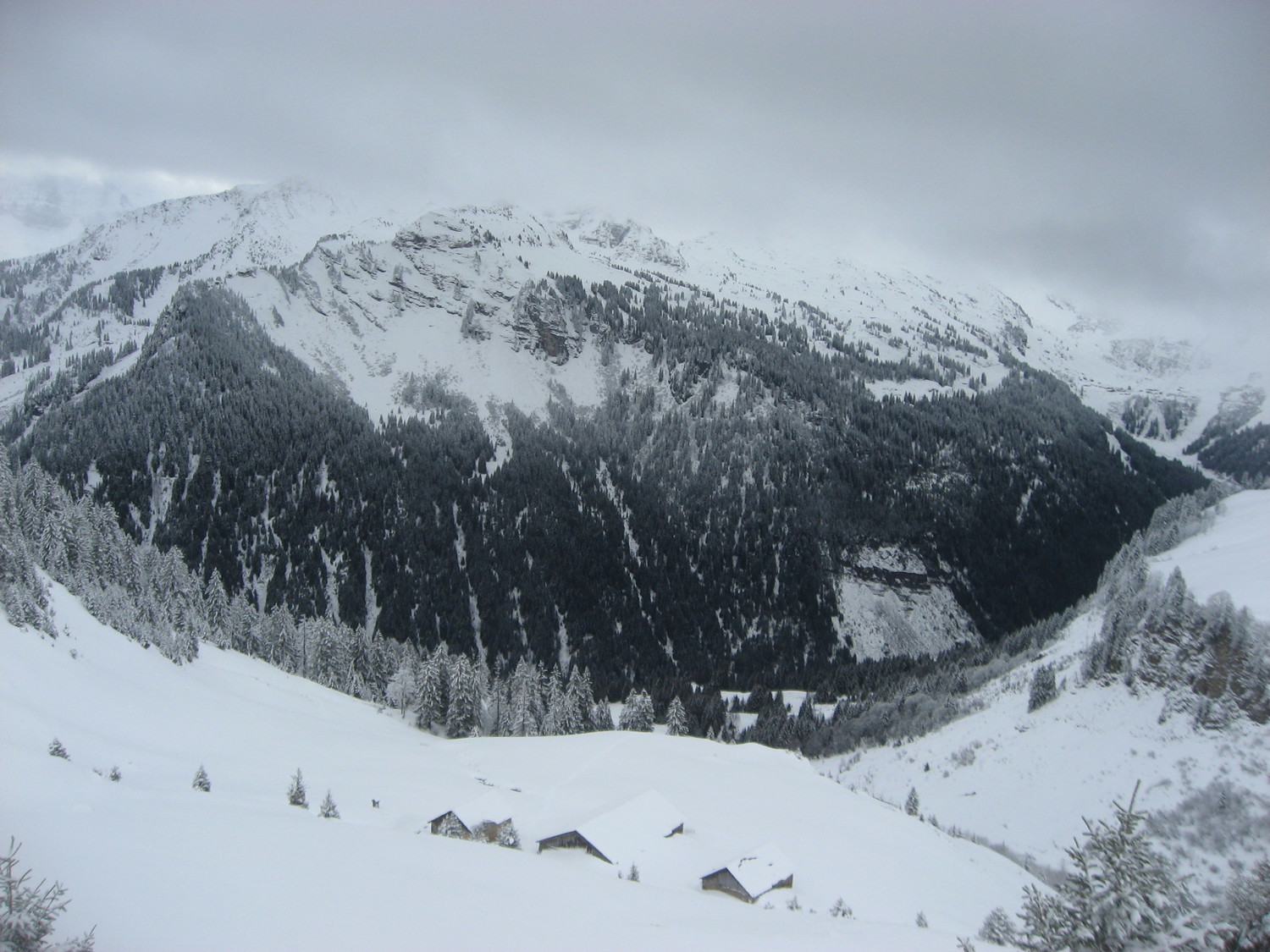 le pron