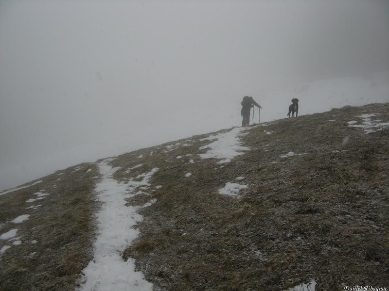 On cherche la neige pour monter !