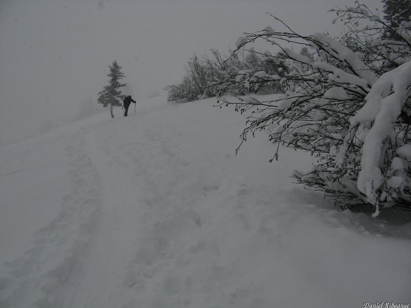 Après le passage en forêt, belle neige sur fond dur