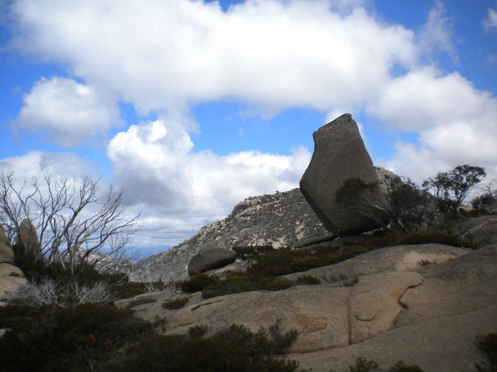 "The sentinel"